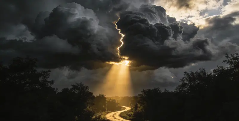 肺癌68基因检测图3