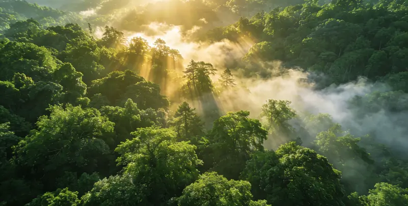营口肺癌13基因突变检测（组织）图片1